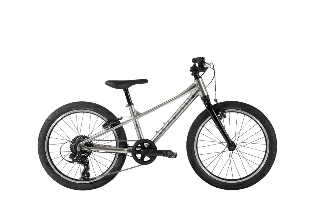 2024 - COAST TRAIL 20 7SP SILVER BLACK