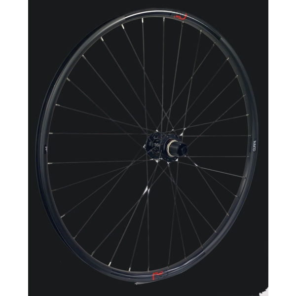 RUEDA NEU 29" EJE 12 X 142 DISC