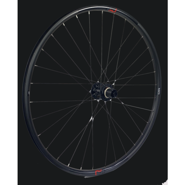 RUEDA NEU 29&quot; EJE 12 X 142 DISC