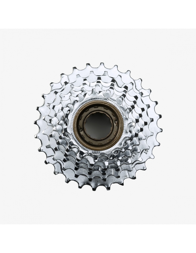 Piñón de rosca Eltin 7V 13-28